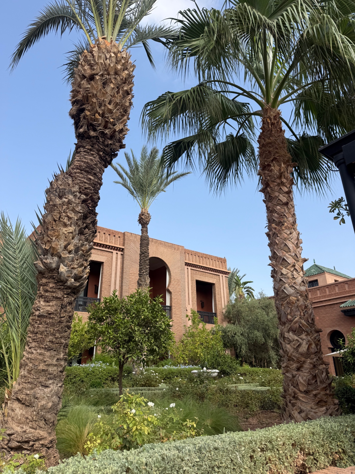 Bakstenen gevel en hoge palmen in de tuin van Selman Marrakech