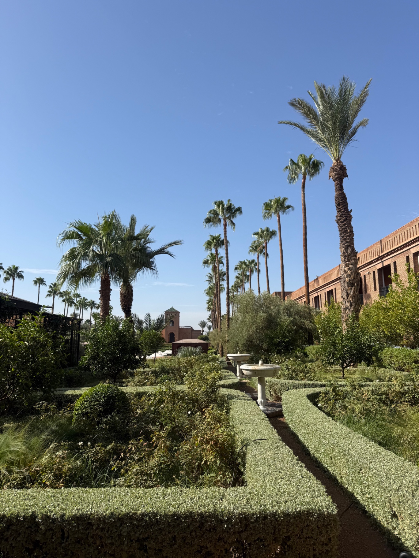 Tuin van Selman Marrakech met palmen, fonteinen en gesnoeide hagen