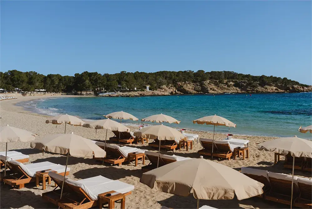 CBbC in Ibiza