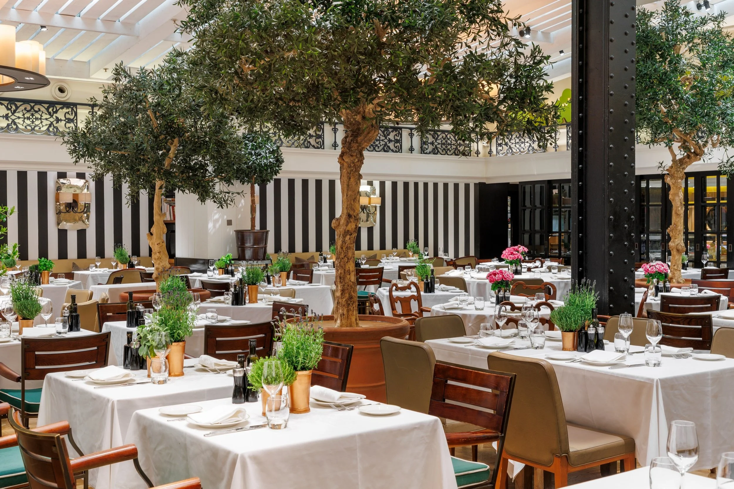 Novikov in Londen