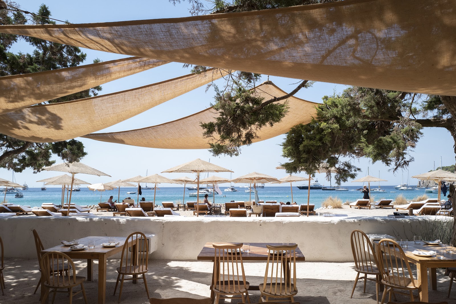 Jondal in Ibiza